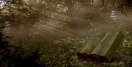 LEANDRO MONTI / DIRECTOR OF PHOTOGRAPHY