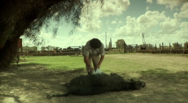 LEANDRO MONTI / DIRECTOR OF PHOTOGRAPHY