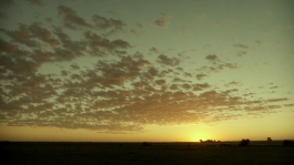 LEANDRO MONTI / DIRECTOR OF PHOTOGRAPHY