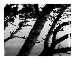 LEANDRO MONTI / DIRECTOR OF PHOTOGRAPHY