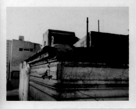 LEANDRO MONTI / DIRECTOR OF PHOTOGRAPHY