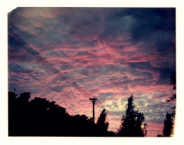 LEANDRO MONTI / DIRECTOR OF PHOTOGRAPHY