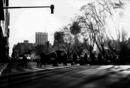 LEANDRO MONTI / DIRECTOR OF PHOTOGRAPHY