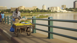 LEANDRO MONTI / DIRECTOR OF PHOTOGRAPHY